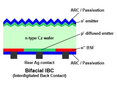 Coupe d'une cellule photovoltaïque bifaciale à architecture IBC. La face avant ne porte aucun contact métallique, ce qui élimine l'ombrage de la grille. Les contacts négatifs et positifs sont alignés en peignes interdigités sur la face arrière, séparés par des couches diélectriques de passivation.